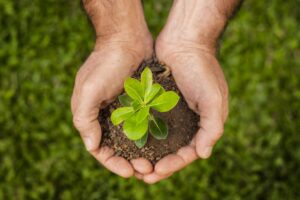 Dia do Meio Ambiente - Mãos de Terra